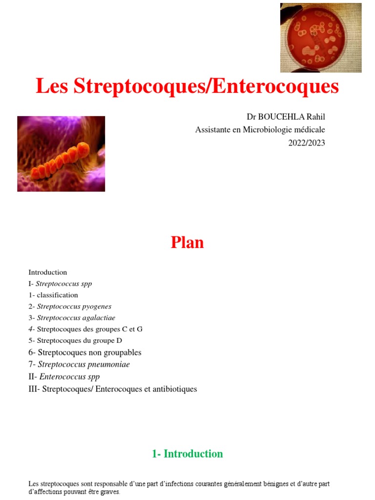 Les Streptocoques | PDF | Streptocoque | Médecine clinique