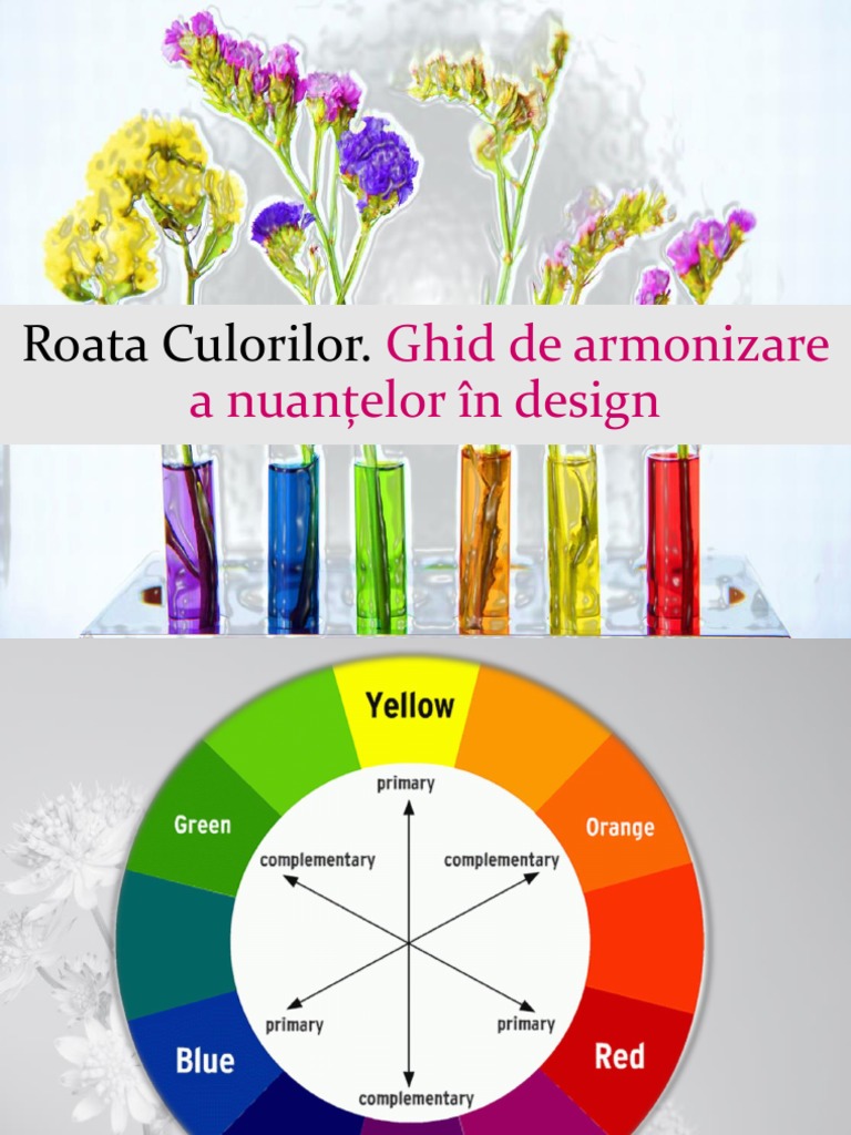 02 - Roata Culorilor | PDF