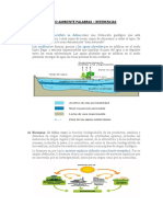 Medio Ambiente Palabras y Referencias Glosario-1