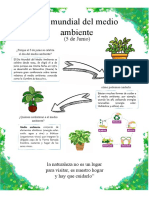 AFICHE (Dia Mundial Del Medio Ambiente)