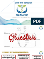 Clase 02 Glucolisis y Regulacion de Glucolisis Bizancio 2020