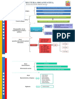 ESTRUCTURA ORGANIZATIVA Napoleon Escoche