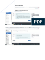 IBM DataStage V11.5.x Batch Processing BG19004G