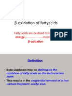 B-Oxidation BDS