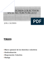 Derechos Colectivos en El Sector Público. Joel Cáceres