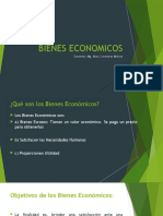 Bienes Economicos