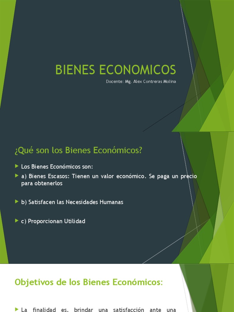 Bienes Economicos PDF Bienes Economias