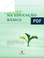 Ensino na educação básica: estudos e reflexões