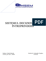 Sistemul Decizional Al Intreprinderii Curbanaliev Reghina CON 202 (1)