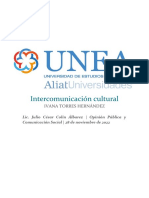 Intercomunicación Cultural