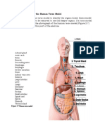 Organ Systems Overview