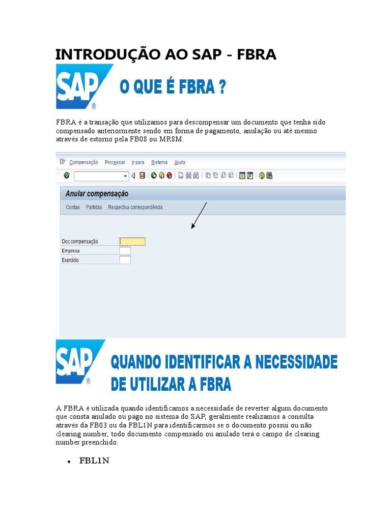 Introdução Ao Sap - Fbra | PDF