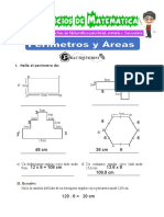 Areas y Perimetros