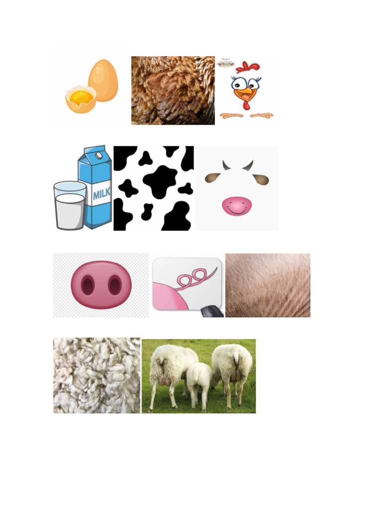 Animales de La Granja | PDF