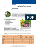 CB Pollinator Factsheet Spanish