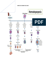 Atlas de Hematologia