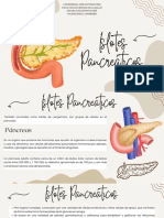 Islotes Pancreaticos