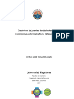 RV3 - SCB - Crecimiento de Juveniles de Róbalos Feminizados Centropomus Undecimalis (Bloch, 1972) en Agua Dulce