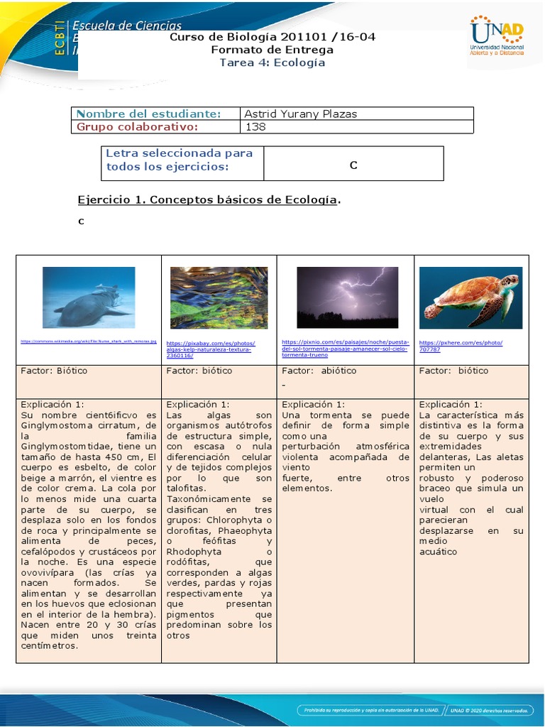 Tarea de Ecología: Ecosistemas y Especies | PDF | Ecosistema | Ecología