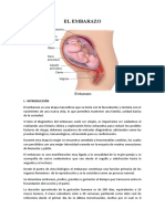 Portafolio - El Embarazo