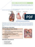 Sindromes Pericardicos