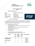 Informe Tomas Balladares 2019