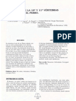 Artrodesis de La 10 Y 11 Vértebras Coccígeas en El Perro.: F. Franch'", T. Pcña'"