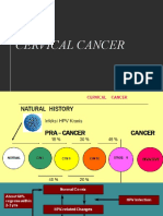 Kanker Serviks: Progresi, Gejala, Diagnosa, dan Penatalaksanaan