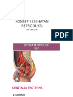 Konsep Kesehatan Reproduksi New