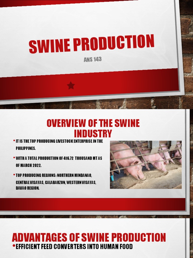 Ans143 Swine Production Pdf Pig Wild Boar