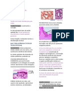 Histologia