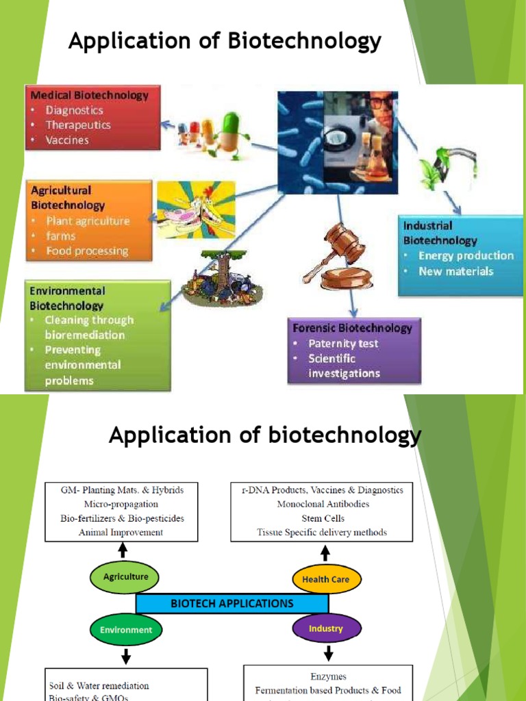 Biotechnology Applications in Agriculture | PDF | Genetic Engineering ...
