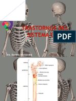 Sistema Oseo
