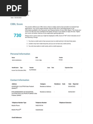 Credit Report