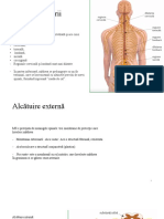 Biologie - Sistem nervos2FINAL