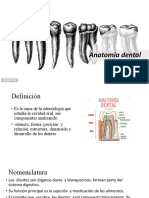 Presentación Anatomía Dental