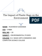 The Impact of Plastic Bags On The Environment