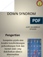 Down Syndrome dalam