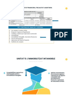 Presentació Unitat 5 Immobilitzat Intangible