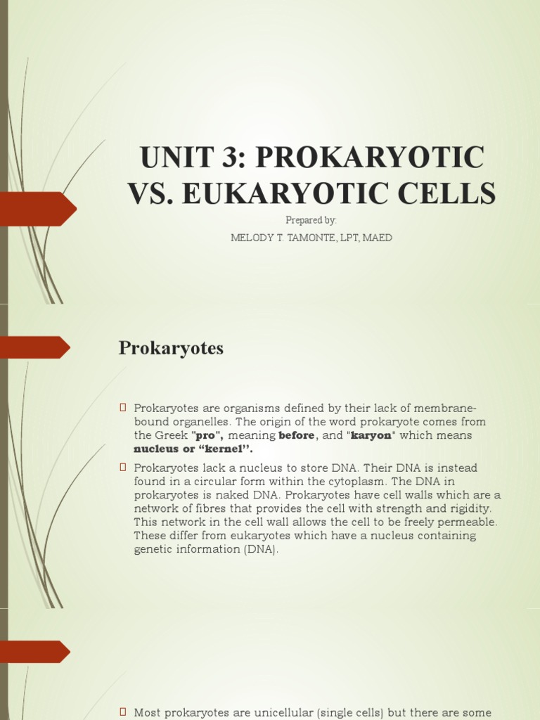 Prokaryotic vs. Eukaryotic Cells Guide | PDF | Cell (Biology) | Prokaryote