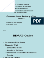 Cross-Sectional Anatomy of The Thorax-Blein