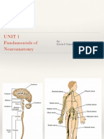 Fundamentals of Neuroanatomy