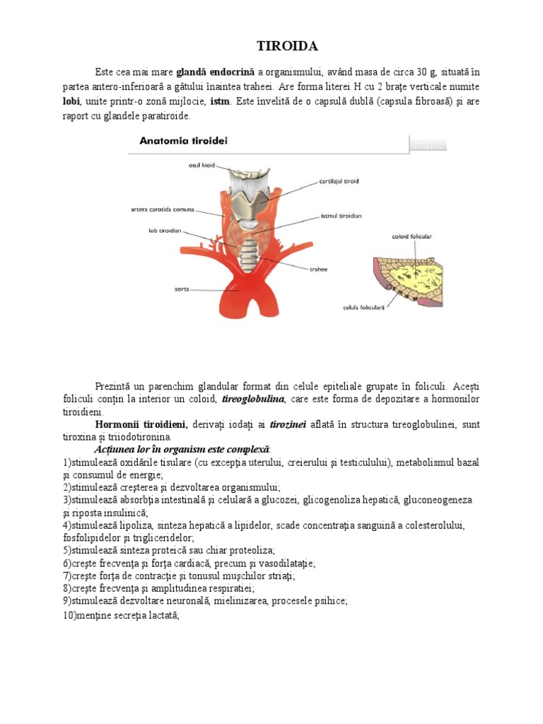 Tiroida | PDF