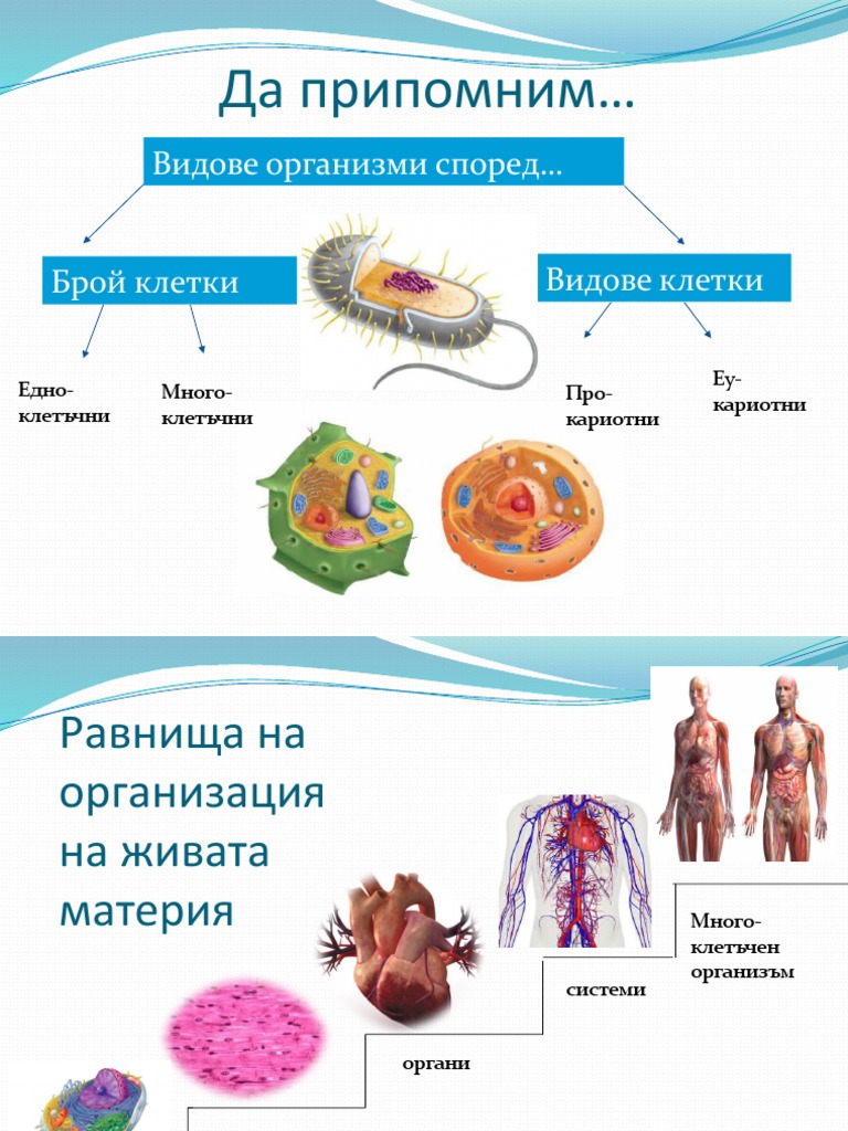 Химичен състав на клетката | PDF