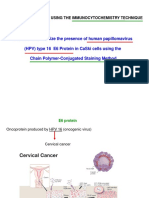 Immunocytochemistry