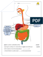 Tráviaca Sústava - PL - 1