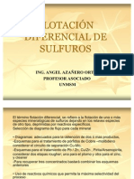 T22114exposición Flotación Diferencial de Sulfuros