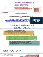 Lesiones de La Piel Upsjb PDF