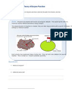 Enzyme Practice