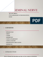 Trigeminal Nerve